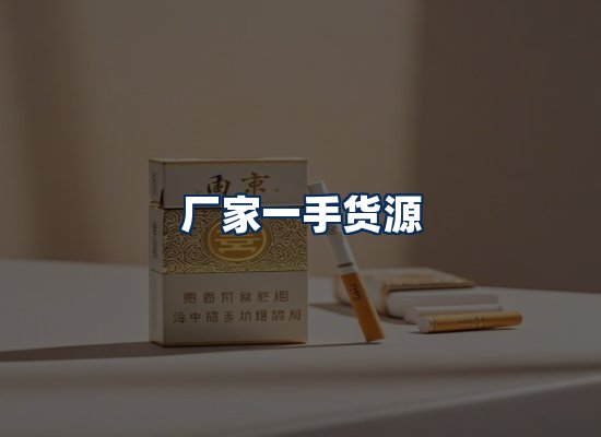 专业团队办公环境